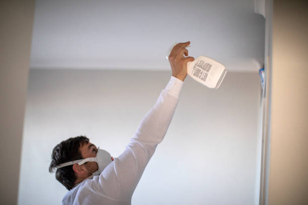 Best Same-Day Mold Removal  in Cannelton, IN