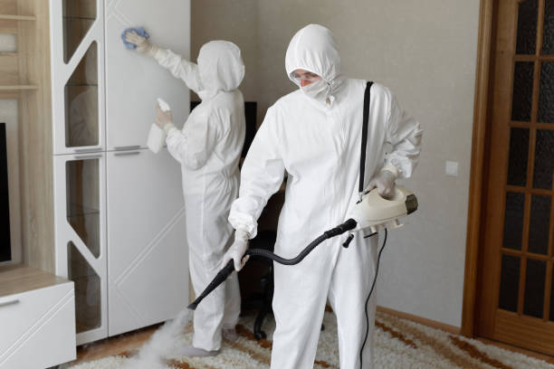 Crawl Space Mold Removal in Cannelton, IN