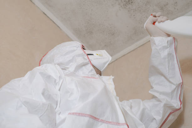 Best Mold Removal Process  in Cannelton, IN
